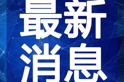 信宜最新爆料新闻视频,视频揭露惊人真相，事件详情曝光！