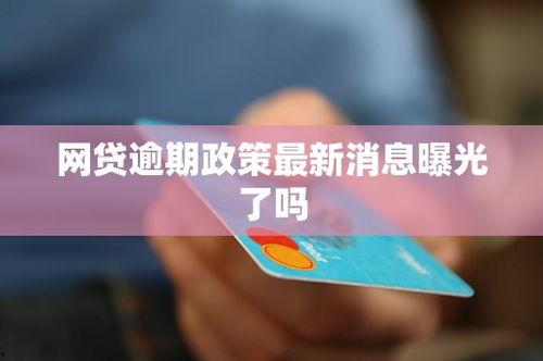 网贷最新爆料,揭秘风险与机遇并存
